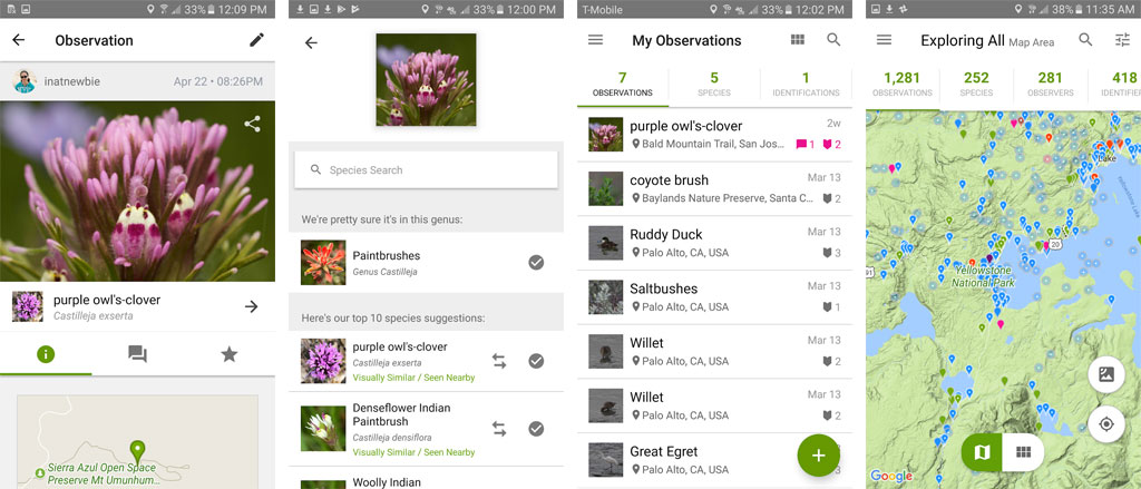 iNaturalist is one of the best gardening apps for smartphones