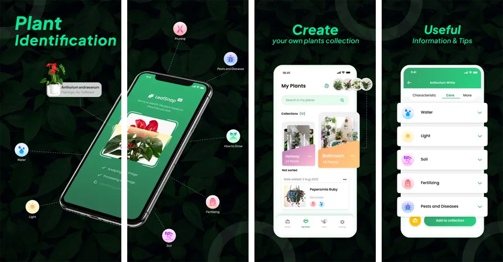 LeafSnap is among the best gardening apps to grow your plants